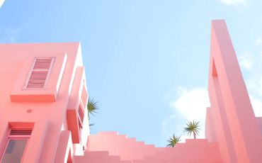 5553531b-beasty-hxihfs_duk-unsplash-2